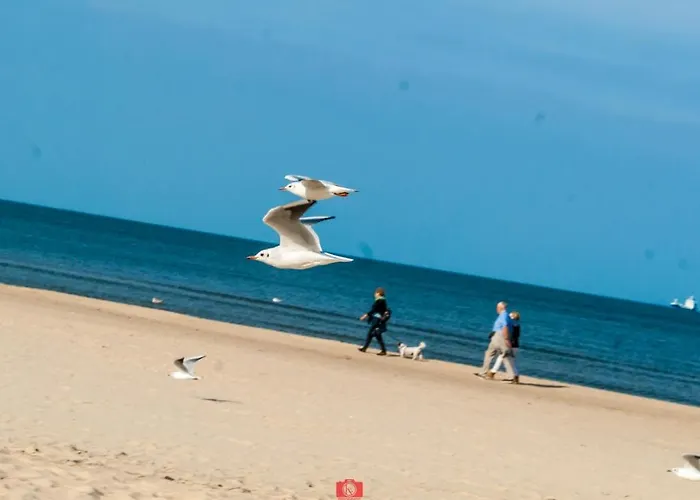 Prázdninový dům Park Trzęsacz